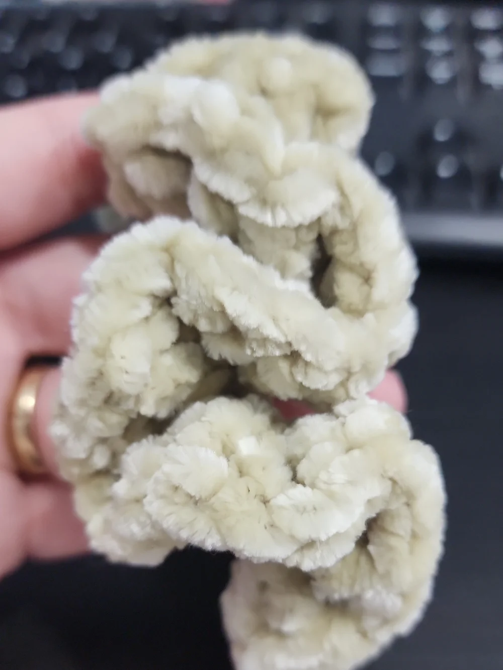 Green Apple Scrunchie